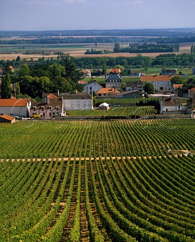 Village of VosneRomane viewed from the top of La   Tche vineyard Cte dOr France   Cte de Nuits