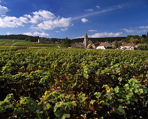 Fixin and its 12thcentury church Premier Cru vineyards Clos du Chapitre and La Perrire are top left whilst the vineyard in foreground aux Herbues only has the commune appellation Cte dOr France    Cte de Nuits