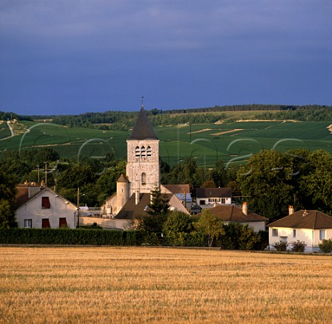 Church at Chablis with the Premier Cru   Monte de Tonnerre vineyard beyond       Yonne France