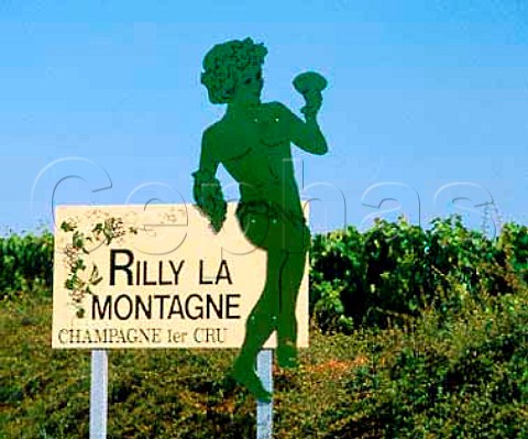 Sign at Rilly la Montagne on the Montagne de Reims   Marne France Champagne