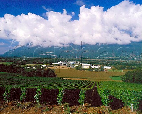 Vineyards above the Rhne Valley and the Salomon factory Seyssel HauteSavoie France