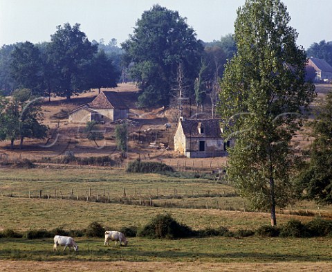 Landscape near Bergerac Dordogne France