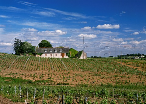 Chteau Bellerive and its vineyard Chaume MaineetLoire France  Quarts de Chaume