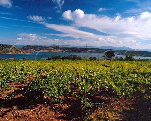 Vineyards overlooking Lake Salagou   near ClermontlHrault Hrault France    Coteaux du Languedoc