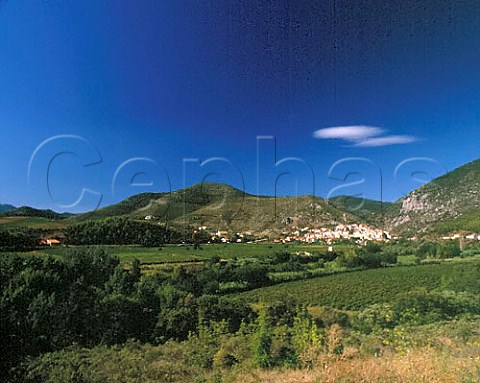 Village and vineyards of Roquebrun in the   Orb valley Hrault France   AC StChinian