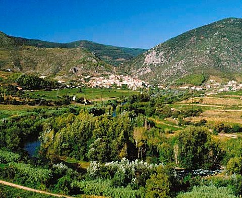 Vineyards around village of Roquebrun in the   Orb valley Hrault France   AC StChinian