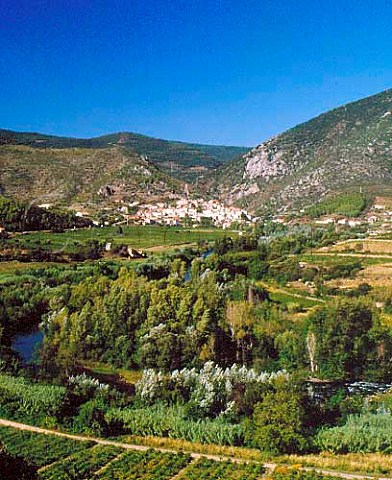 Vineyards around village of Roquebrun in the   Orb valley Hrault France   AC StChinian