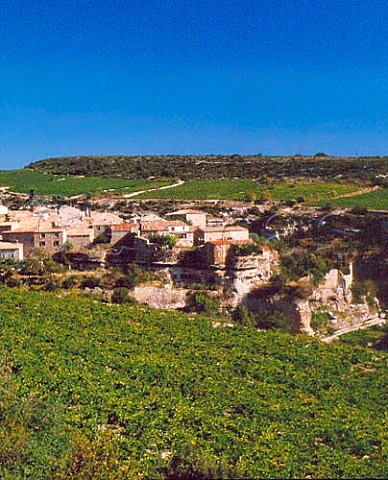Vineyards around Minerve village in the   Cesse Valley Hrault France  AC Minervois
