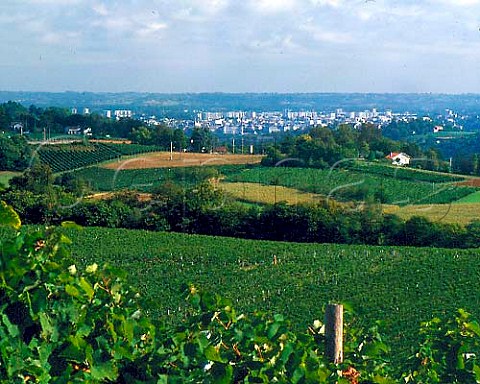 Vineyards of Chteau Jolys with Pau in distance   PyrnesAtlantiques France    AC Juranon
