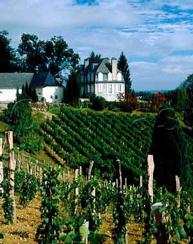 Chateau Jolys and vineyard near Pau ACJurancon