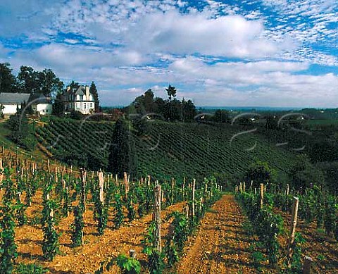 Chteau Jolys and its vineyard near Pau   PyrnesAtlantiques France   AC Juranon