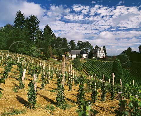 Chteau Jolys and its vineyard Gan near Pau PyrnesAtlantiques France       Juranon