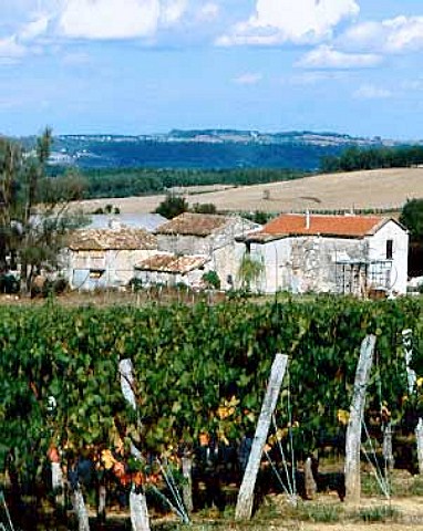 Vineyards and farm buildings at Lasmazres near Xaintrailles LotetGaronne France    Buzet