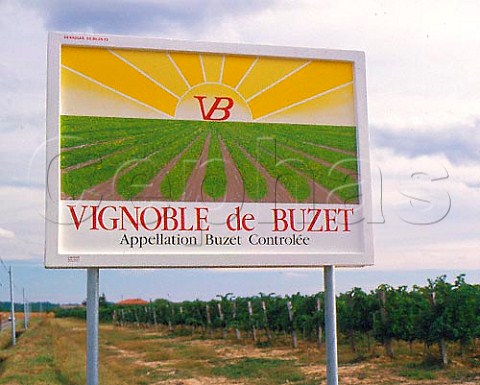 Vignoble de Buzet wine sign near BuzetsurBaise   LotetGaronne France