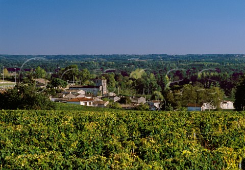 Vineyards above village of Fronsac Gironde France  CanonFronsac  Bordeaux