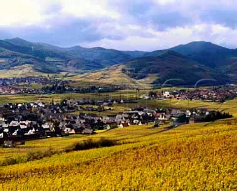 Sigolsheim l Kientzheim r and Ammerschwihr   top left HautRhin Alsace