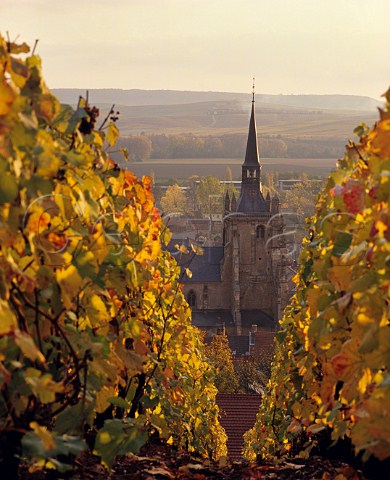 Autumnal Pinot Noir vineyard above the church  at Ay Marne France   Champagne