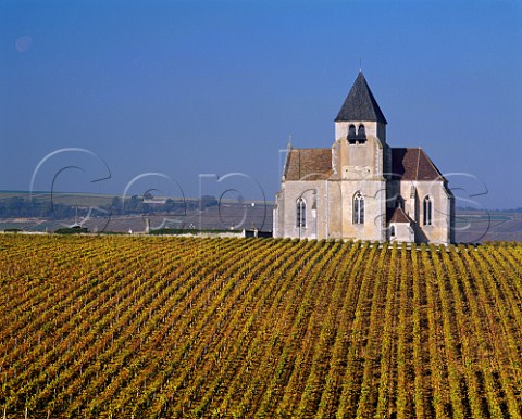 Church above autumnal vineyard of JeanMarc Brocard at Prhy near Chablis Yonne France Chablis  