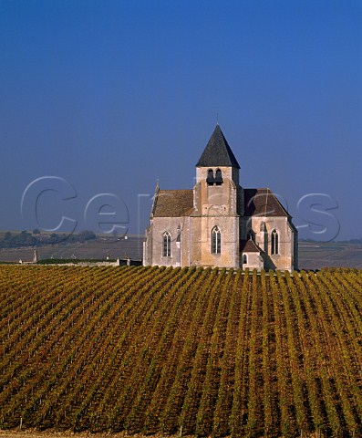 Church above vineyard of JeanMarc Brocard at Prhy near Chablis Yonne France  Chablis