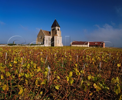 Winery of JeanMarc Brocard by the church at  Prhy near Chablis Yonne France Chablis