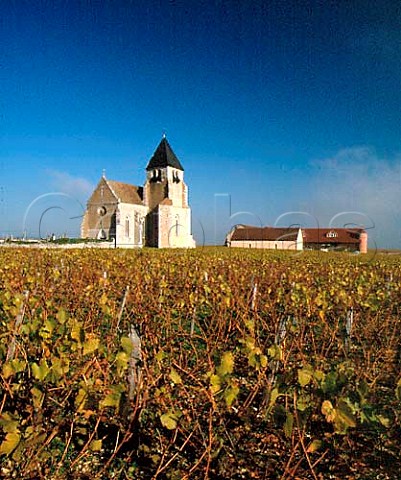Winery of JeanMarc Brocard next to the church at    Prhy Yonne France   AC Chablis