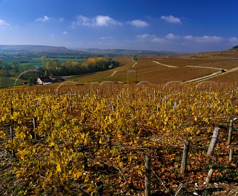 Four of the Chablis Grand Cru vineyards Grenouilles  in foreground with Vaudsir Les Preuses and Bougros beyond Chablis Yonne France