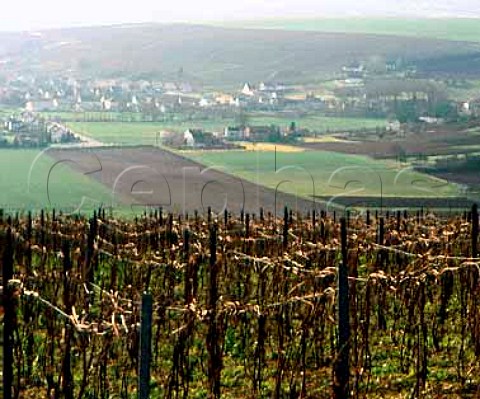 Vineyards in early January above CharlysurMarne   and the Marne valley  Marne France     Champagne