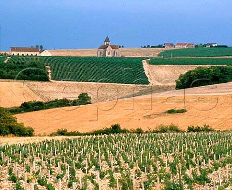 The church of Prhy with the winery of   JeanMarc Brocard on left    Yonne France   Chablis