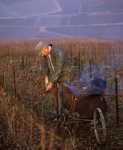 Pruning vines and burning them in a mobile   incinerator is a common sight in the vineyards of   Champagne during winter   Near Champillon Marne France Champagne