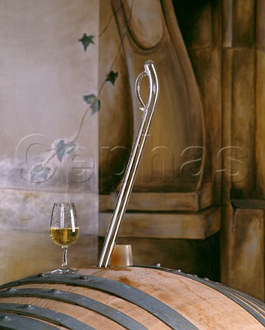 Glass of Pur Sang taken from barrel with a pipette in the cellar of Didier Dagueneau   StAndelain near PouillysurLoire France PouillyFum 