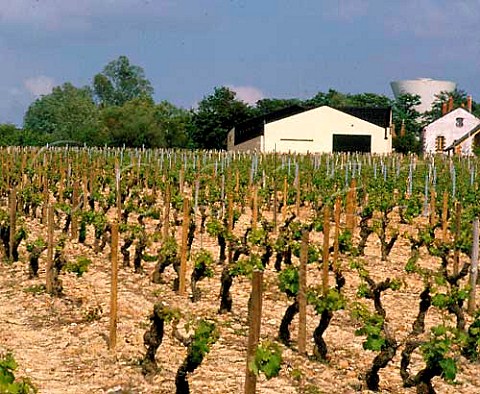 Winery of Didier Dagueneau viewed over SauvignonBlanc vineyard from which come the grapes for histop wine Silex  so called because of the high flintcontent of the soil SaintAndelain near PouillysurLoire NivreFrance    PouillyFum   