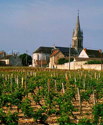 Village and vineyard of StAndelain   near PouillysurLoire Nivre France  PouillyFum