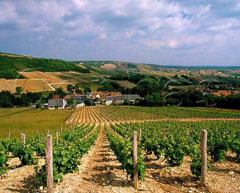 Village of Amigny viewed over vineyard  Cher France    Sancerre