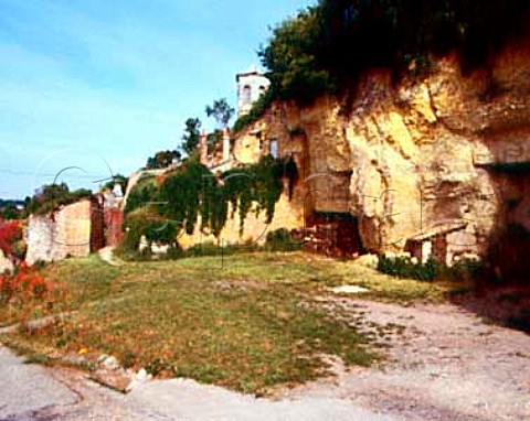 Cliff face showing the tuffeau subsoil out of which   are hewn Le Mont cellars of Gaston Huet and above   which is the vineyard of the same name   Vouvray IndreetLoire France
