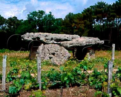 Dolmen de GardeEpe by vineyard at StBrice   near Cognac Charente France