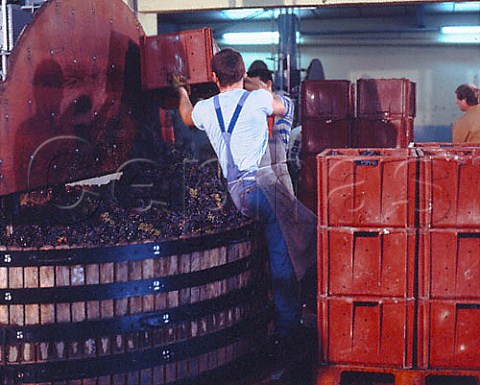 Filling press with Pinot Noir grapes at Champagne   Bollinger Ay
