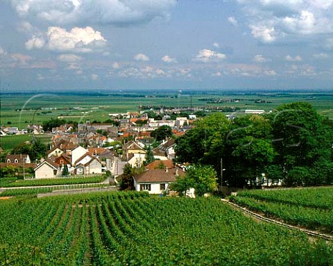 The village of Avize surrounded by its vineyards   Marne France  Cte des Blancs  Champagne