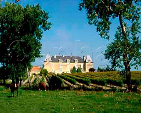 Vineyards around Chteau de la Garde  SalignacsurCharente Charente France  Cognac