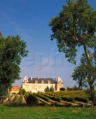 Vineyards around Chteau de la Garde at   SalignacsurCharente Charente France  Cognac