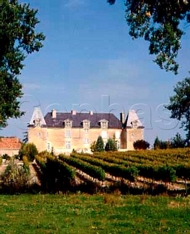 Vineyards around Chteau de la Garde  SalignacsurCharente Charente France  Cognac