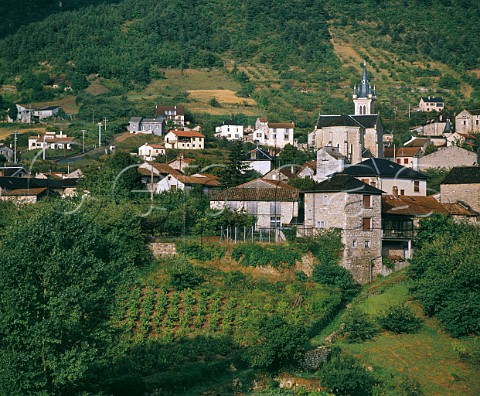 Vineyards around village of La Cresse in the Tarn Valley Aveyron France Ctes de Millau