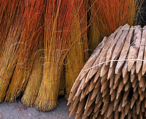 Bundles of osier and vine stakes osier is the traditional material for tying up vines Chteau Palmer Cantenac Gironde France Margaux  Bordeaux