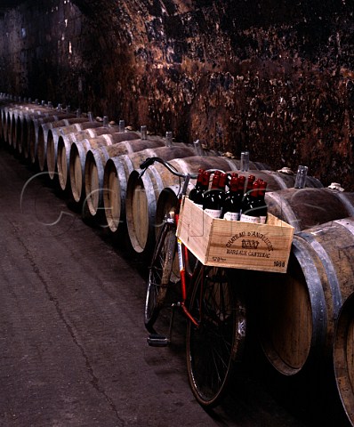 In the old warehouse of Sichel bicycles were used as transport in the cellars which stretched back 200 metres from the frontage on the Quai de Bacalan  Bordeaux Gironde France