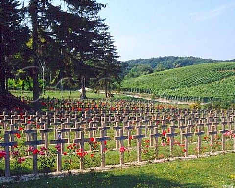 War cemetery with vineyards beyond at   VillersMarmery on the east slopes of the Montagne   de Reims   Champagne