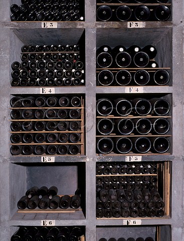 Various bottle sizes in the vintage cellar  of Chteau Latour Pauillac Gironde France  Mdoc  Bordeaux