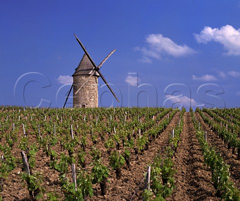 Moulin de Courrian in vineyard of Chteau   TourHautCaussan Blaignan Gironde France  Mdoc Cru Bourgeois Suprieur