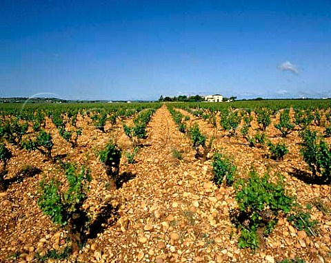 Chteau de Beaucastel viewed over its vineyards  Courthzon Vaucluse France   AC ChteauneufduPape