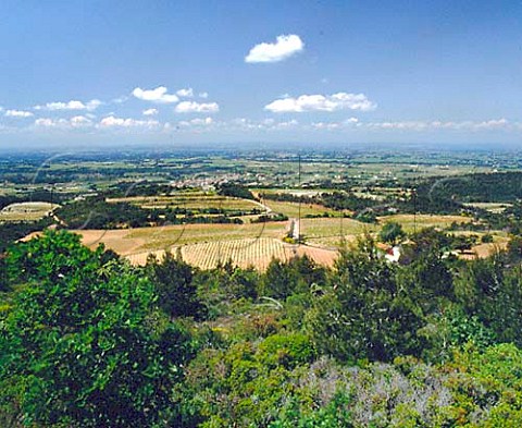View of Vacqueyras and the Rhne valley from the   slopes of the Dentelles de Montmirail Vaucluse   France