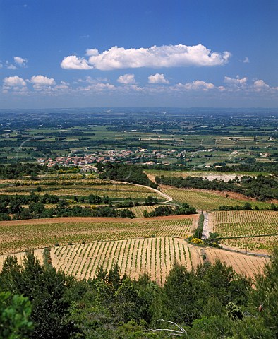 Village of Vacqueyras and the Rhne Valley viewed from the slopes of the Dentelles de Montmirail Vaucluse France