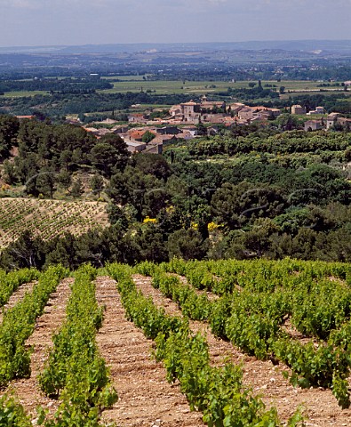 View of Vacqueyras and the Rhone Valley from the   slopes of the Dentelles de Montmirail Vaucluse   France